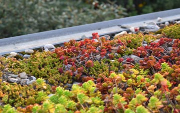 the cost of Shannochill green roof installation