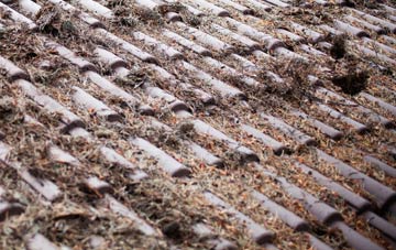 Shannochill roof cleaning companies