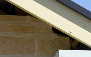 soffit repair Shannochill
