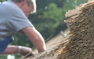 professional Shannochill thatchers