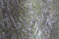 Shannochill fibreglass roof work